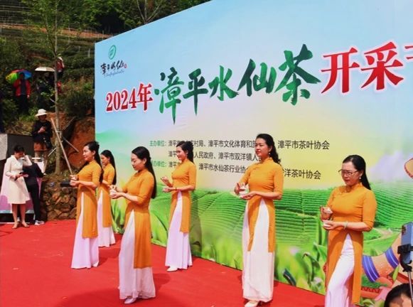 有关于2024年漳平水仙茶开采节圆满成功，邓大沿茶业漳平水仙春茶开采的最新消息(10)
