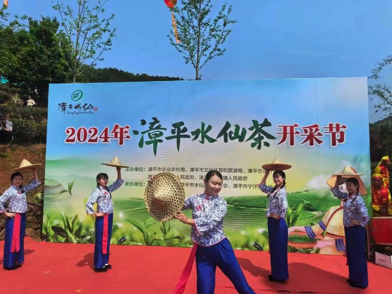 有关于2024年漳平水仙茶开采节圆满成功，邓大沿茶业漳平水仙春茶开采的最新消息(12)