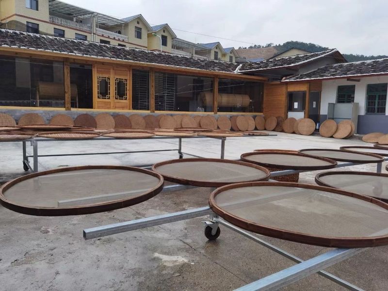 有关于2024年漳平水仙茶开采节圆满成功，邓大沿茶业漳平水仙春茶开采的最新消息(23)