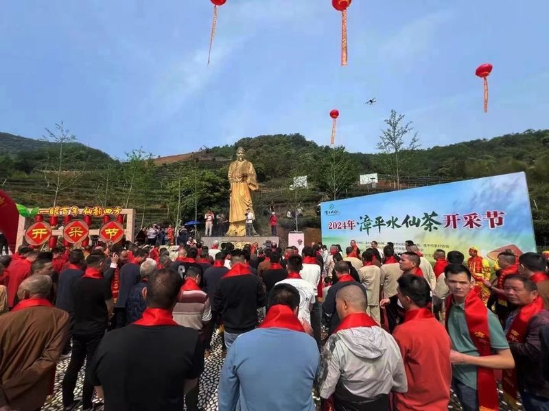 有关于2024年漳平水仙茶开采节圆满成功，邓大沿茶业漳平水仙春茶开采的最新消息(1)