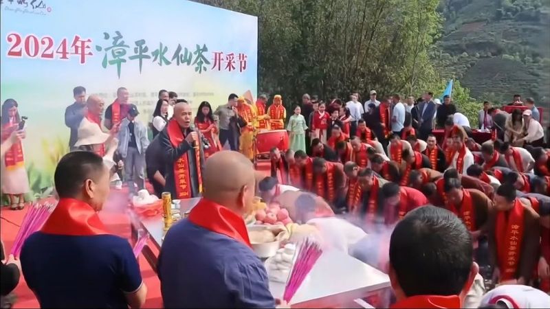 有关于2024年漳平水仙茶开采节圆满成功，邓大沿茶业漳平水仙春茶开采的最新消息(4)