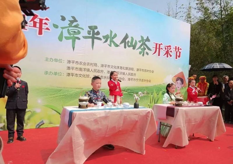 有关于2024年漳平水仙茶开采节圆满成功，邓大沿茶业漳平水仙春茶开采的最新消息(11)