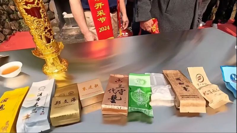 有关于2024年漳平水仙茶开采节圆满成功，邓大沿茶业漳平水仙春茶开采的最新消息(5)