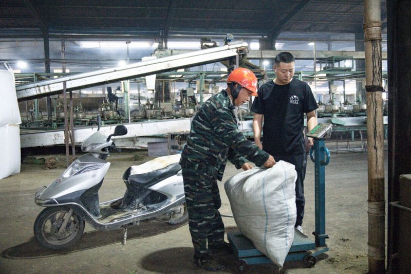 有关于日均10万公斤！“福建龙坛”开足马力收茶青，恢复茶价“健康值”的资讯(1)