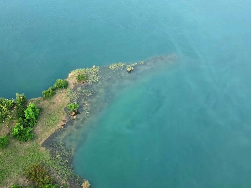 有关于普洱思茅：茶旅深度融合 打造乡村振兴的“老安寨样本”的相关信息(12)