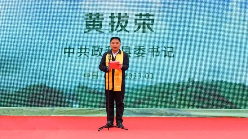 关于做强政和白茶，第五届政和白茶开茶节举办的相关内容(3)