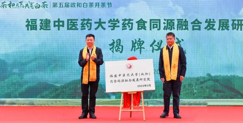 关于做强政和白茶，第五届政和白茶开茶节举办的相关内容(6)