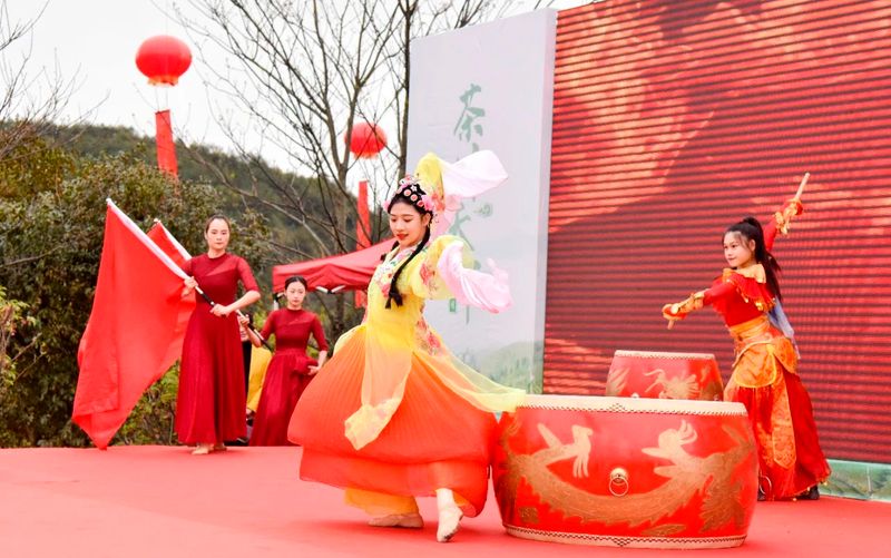 关于做强政和白茶，第五届政和白茶开茶节举办的相关内容(11)