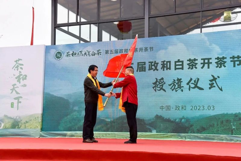 关于做强政和白茶，第五届政和白茶开茶节举办的相关内容(5)