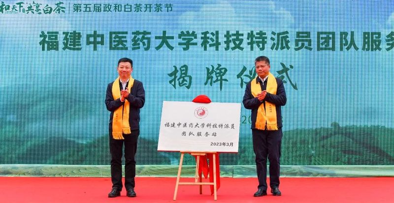 关于做强政和白茶，第五届政和白茶开茶节举办的相关内容(7)