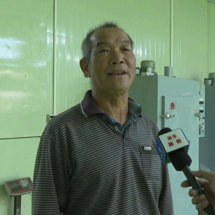 有关于海丰莲花山绿茶清前茶上市 茶企茶农合作共赢的相关内容(3)