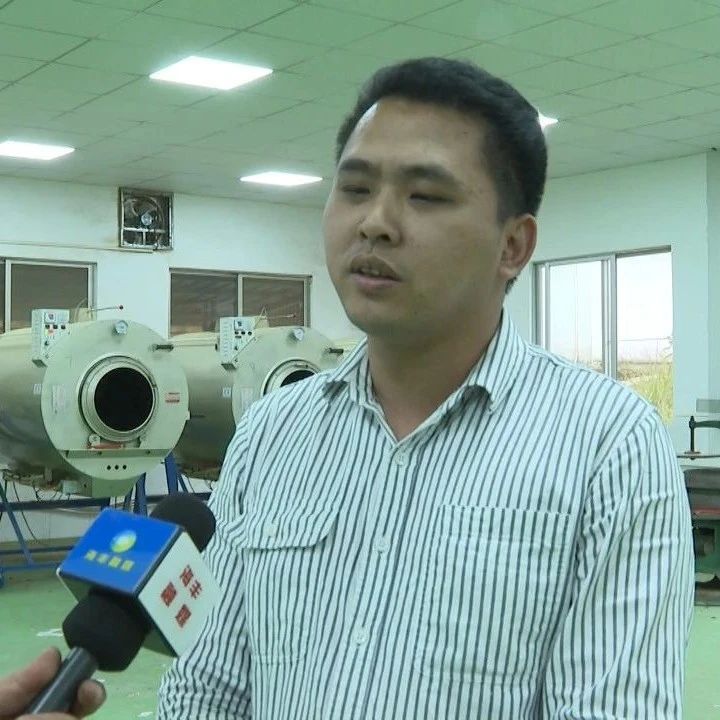 有关于海丰莲花山绿茶清前茶上市 茶企茶农合作共赢的相关内容(1)