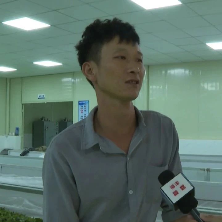 有关于海丰莲花山绿茶清前茶上市 茶企茶农合作共赢的相关内容(4)