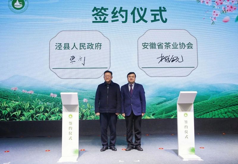 有关于茶和天下 旅约泾川——2023第二届安徽国际茶旅大会盛大开幕的消息(9)