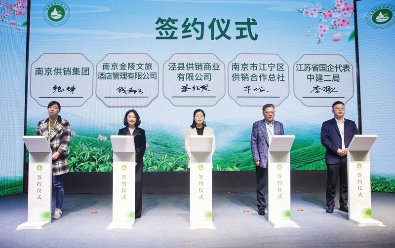 有关于茶和天下 旅约泾川——2023第二届安徽国际茶旅大会盛大开幕的消息(10)