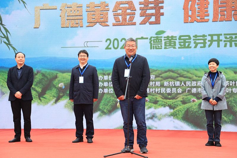 有关于2023广德黄金芽开采节隆重举行的最新消息(1)