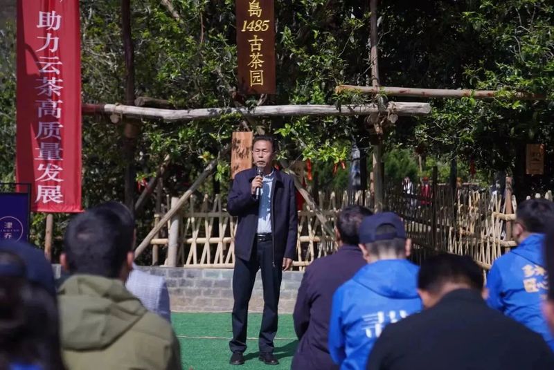 关于冰岛1485古茶园”开采仪式暨云南首家区块链技术与北斗卫星定位春茶质量保荐溯源启动仪式在双江县冰岛老寨举行的消息(3)