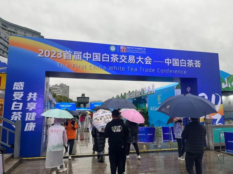 有关于促活茶业市场!首届中国白茶交易大会开启了多少红利与机遇?的最新消息(4)