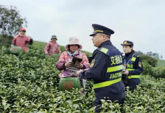 有关于郎溪交通：创新普法 护航采茶季的相关信息