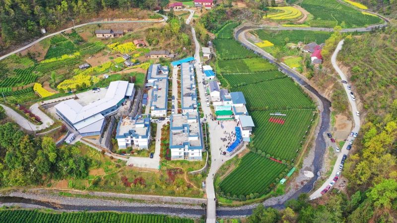 有关于瀛湖镇第二届春茶开园采摘活动开幕！的信息(19)