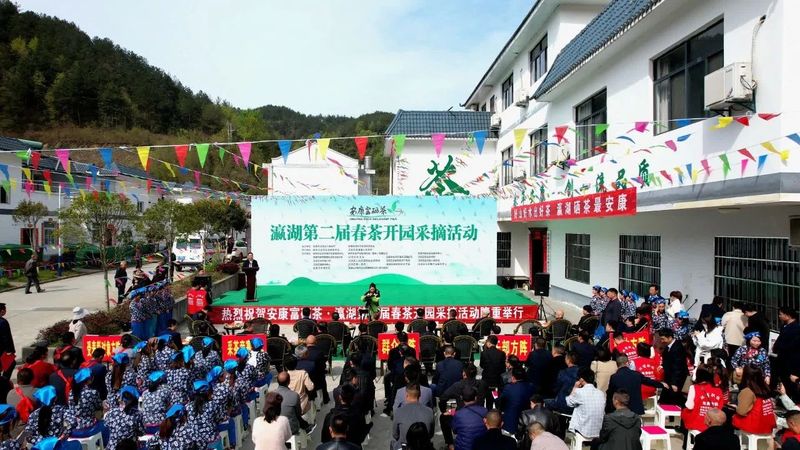 有关于瀛湖镇第二届春茶开园采摘活动开幕！的信息