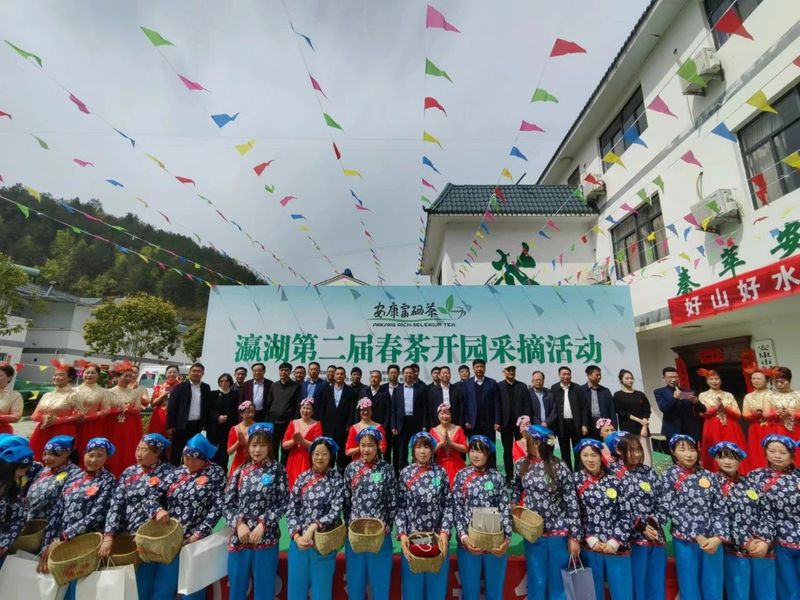 有关于瀛湖镇第二届春茶开园采摘活动开幕！的信息(1)