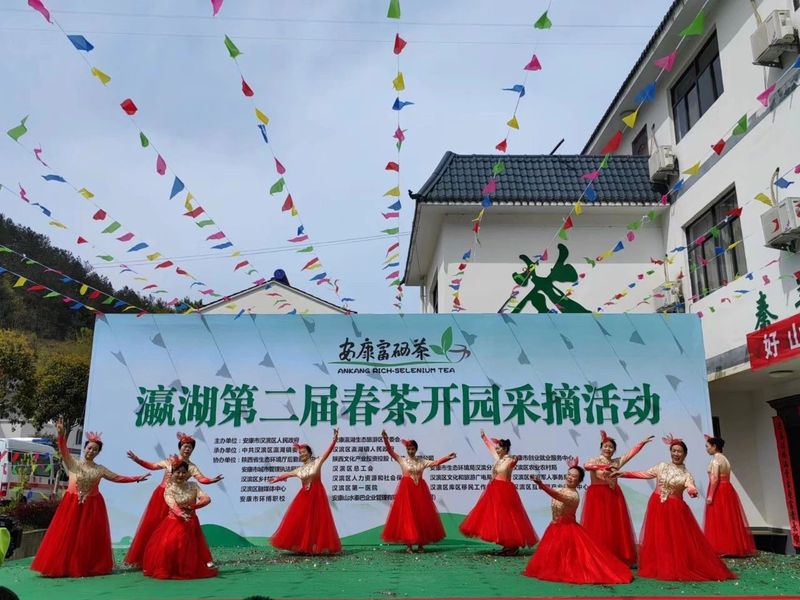 有关于瀛湖镇第二届春茶开园采摘活动开幕！的信息(8)