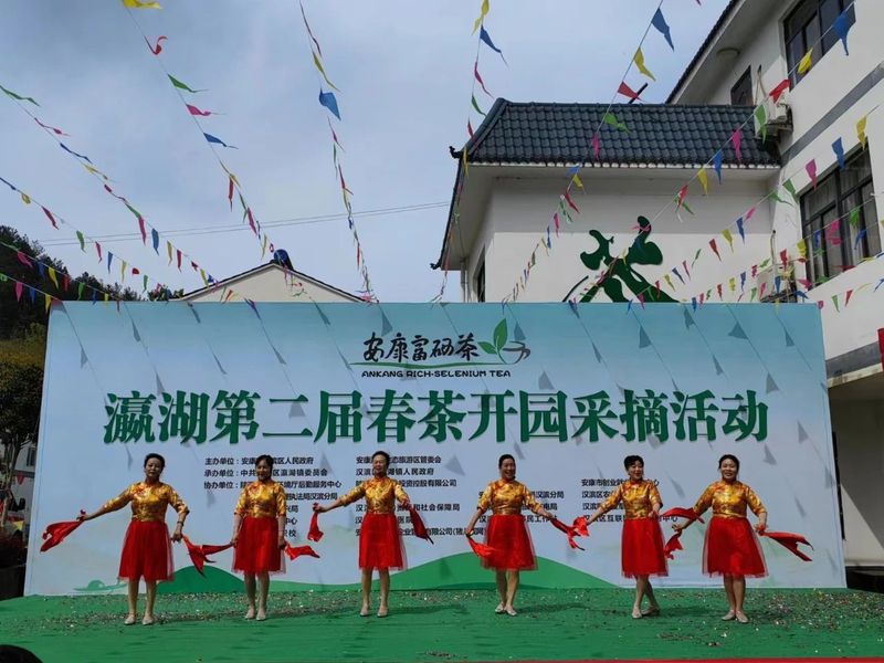 有关于瀛湖镇第二届春茶开园采摘活动开幕！的信息(9)