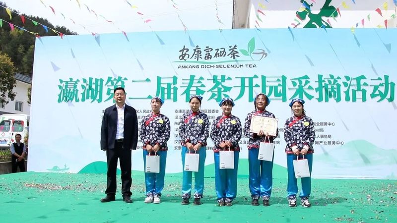 有关于瀛湖镇第二届春茶开园采摘活动开幕！的信息(15)