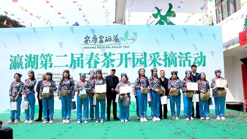 有关于瀛湖镇第二届春茶开园采摘活动开幕！的信息(17)