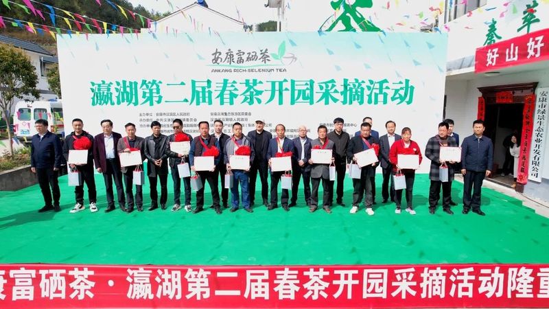 有关于瀛湖镇第二届春茶开园采摘活动开幕！的信息(6)