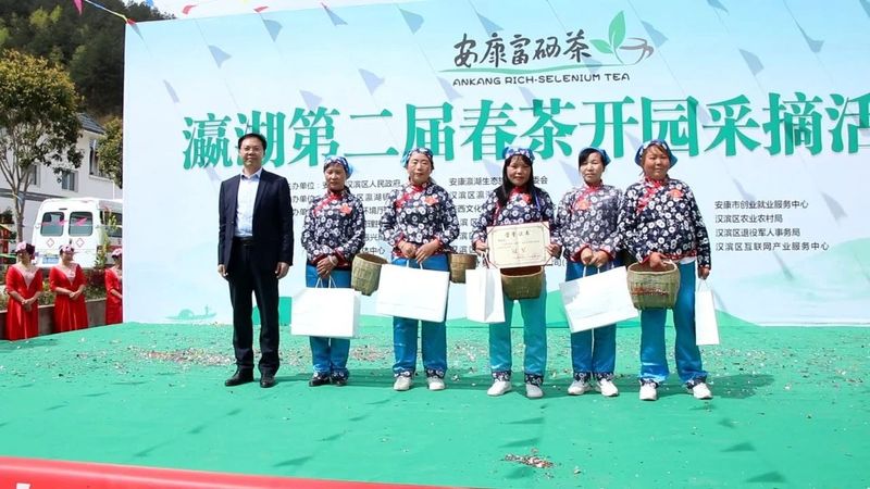 有关于瀛湖镇第二届春茶开园采摘活动开幕！的信息(14)