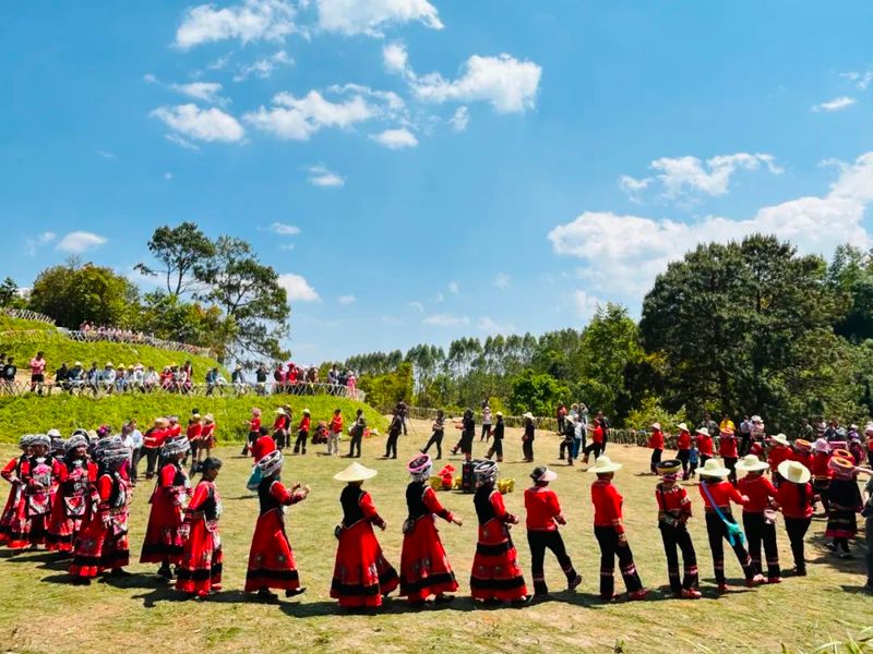 有关于三月春茶绿，景谷县“酸枣树”茶开采啦！的新闻(3)