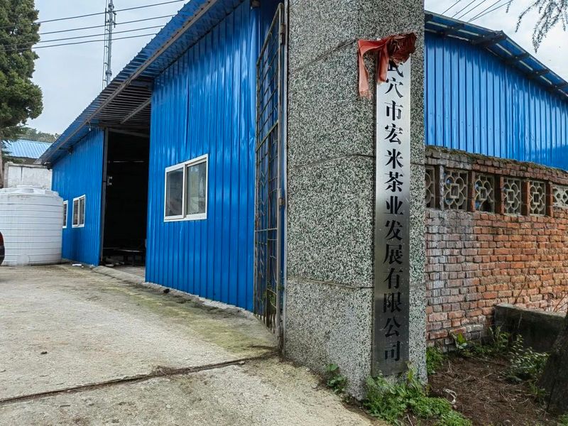 关于杨垸村：一片茶叶背后的乡村振兴之路的信息(1)