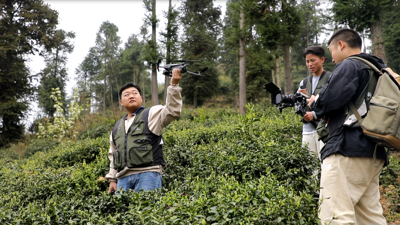 关于茶农村：茶文化绘出“美丽乡村”的资讯