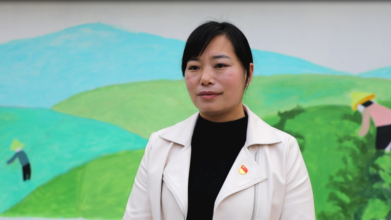 关于茶农村：茶文化绘出“美丽乡村”的资讯(6)