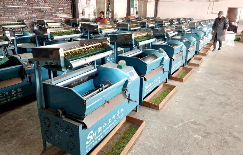 关于13.34亿元 高县茶业实现“开门红”的资讯(2)