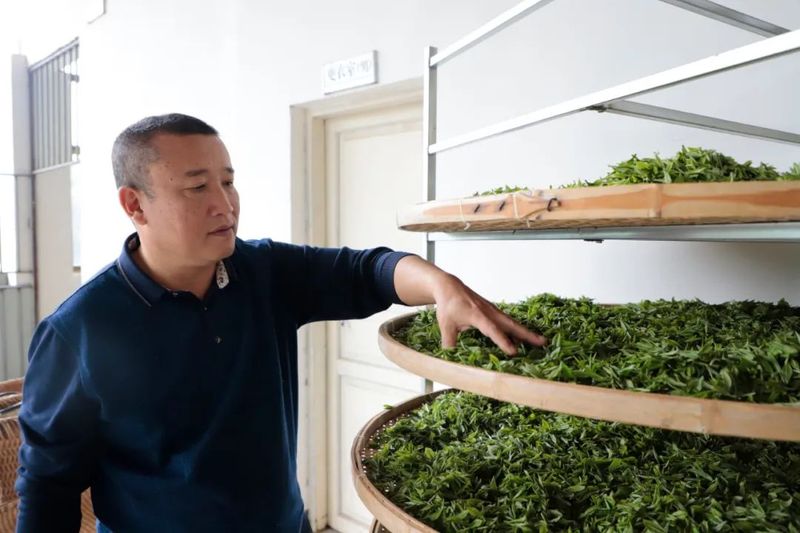 有关于张氏茶庄：依托“千年茶乡”品牌做大做强“茶文章”的消息(3)