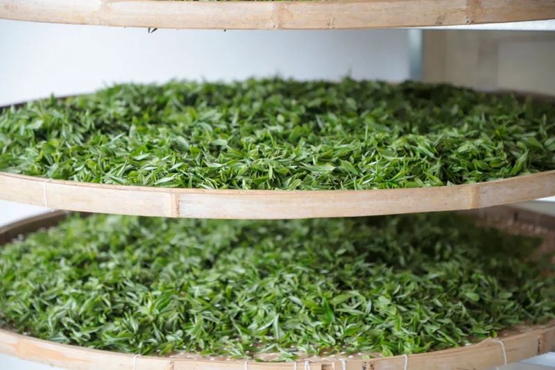 有关于张氏茶庄：依托“千年茶乡”品牌做大做强“茶文章”的消息(1)