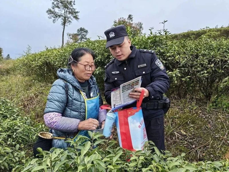 关于丹寨公安：又到一年采茶季，深山茶园有“警”色的相关信息