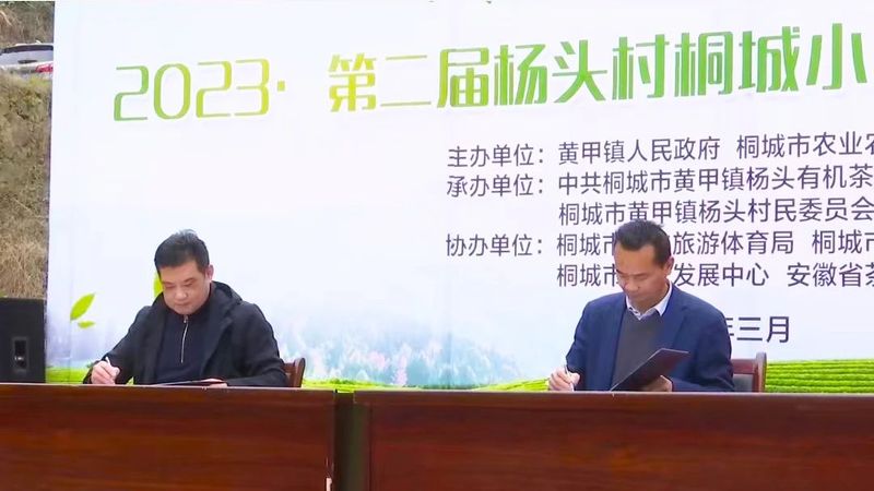 关于2023第二届杨头村桐城小花茶采摘开园仪式举行的相关信息(6)