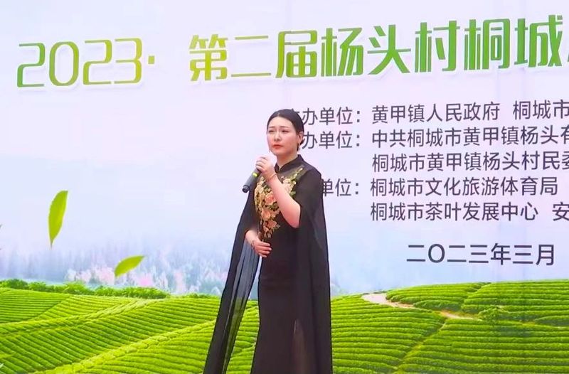 关于2023第二届杨头村桐城小花茶采摘开园仪式举行的相关信息(13)