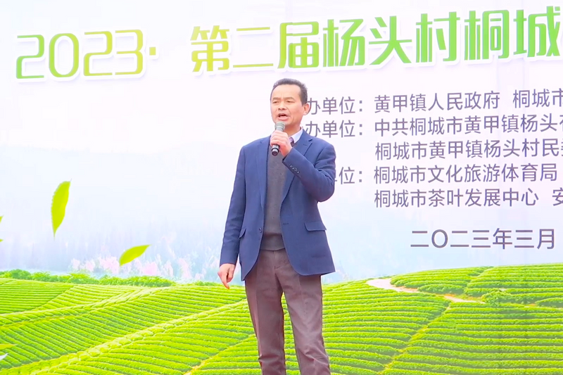 关于2023第二届杨头村桐城小花茶采摘开园仪式举行的相关信息(5)