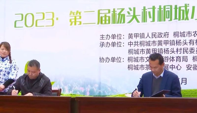 关于2023第二届杨头村桐城小花茶采摘开园仪式举行的相关信息(8)