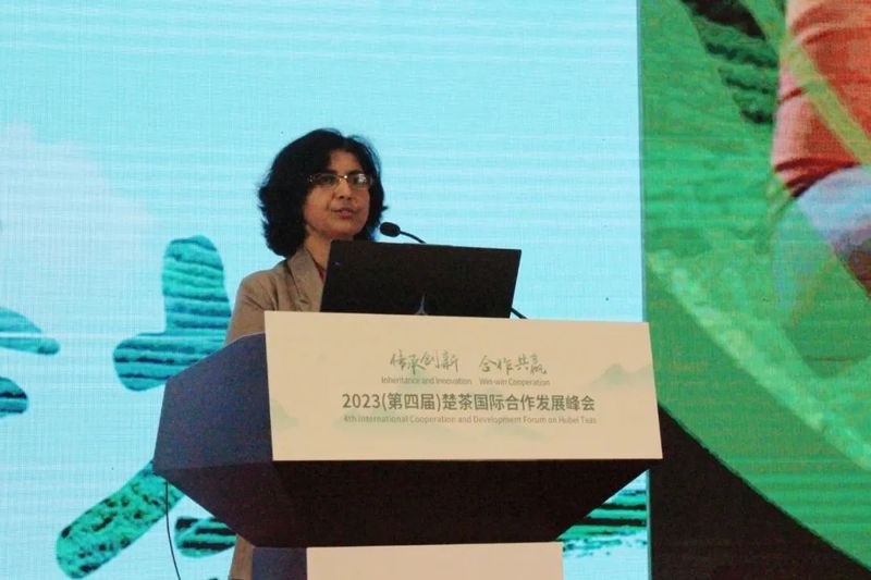 有关于2023（第四届）楚茶国际合作发展峰会在武汉成功举办的相关信息(11)