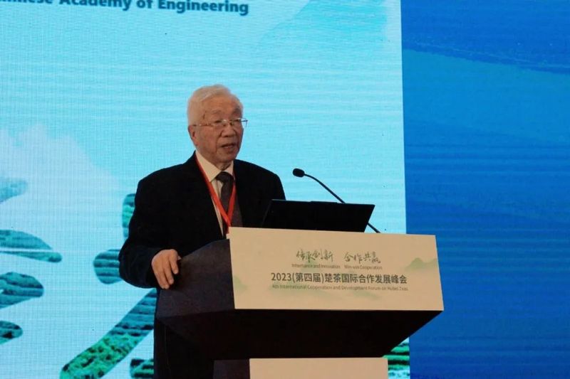 有关于2023（第四届）楚茶国际合作发展峰会在武汉成功举办的相关信息(7)