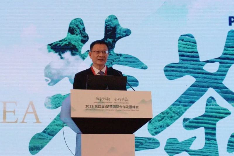 有关于2023（第四届）楚茶国际合作发展峰会在武汉成功举办的相关信息(3)
