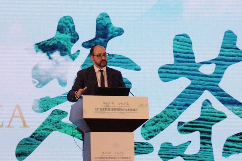 有关于2023（第四届）楚茶国际合作发展峰会在武汉成功举办的相关信息(5)