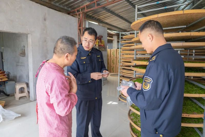 有关于松溪县开展茶叶农药残留联合抽样活动的相关内容(1)