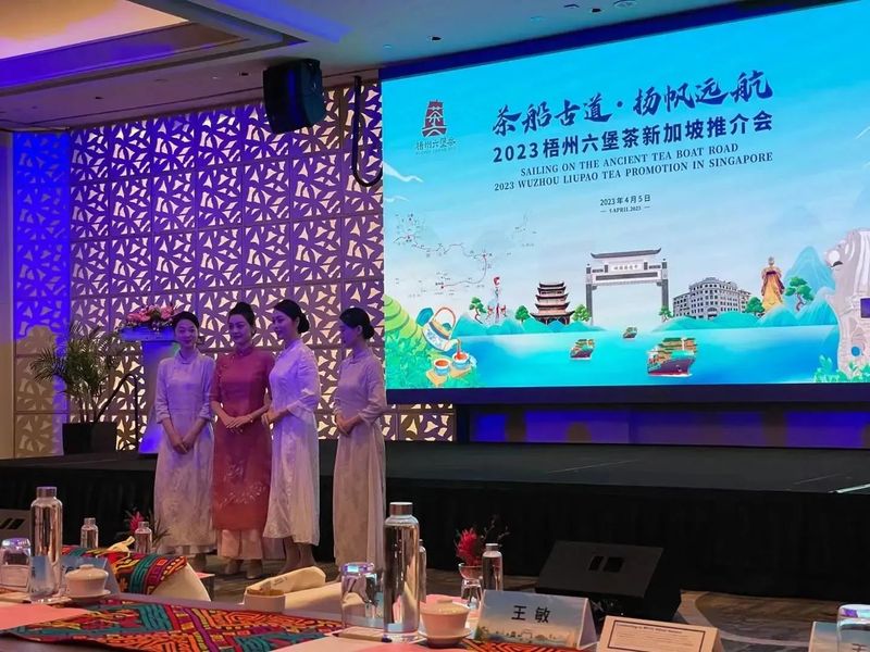 关于2023中国广西梧州六堡茶新加坡推介会成功举办的新闻(4)